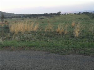 2 m² Land available in Walkerville