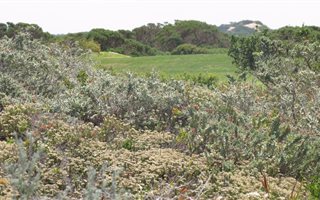 1272 m² Land available in St Francis Links