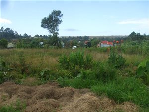 1115 m² Land available in Graskop