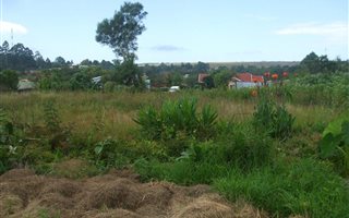 1115 m² Land available in Graskop
