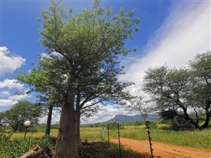 1019.2 ha Farm in Blouberg