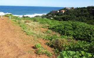 1347 m² Land available in Sheffield Beach