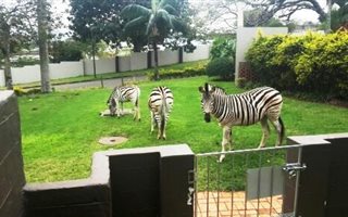 2 Bedroom Flat in Mtunzini