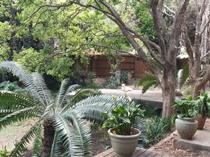 3 Bed House in Linksfield Ridge