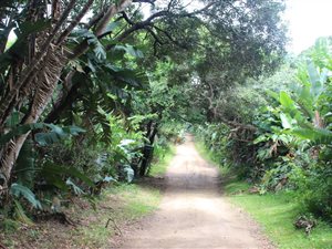 1267 m² Land available in Trafalgar