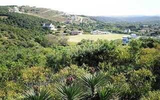 1795 m² Land available in West Bank
