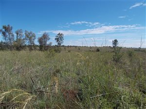 5.8 ha Land available in Vasfontein