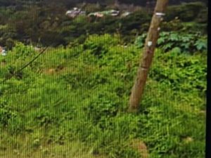 2277 m² Land available in Umhlatuzana