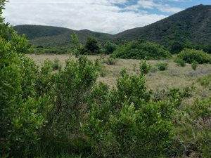 1.9 ha Farm in Plettenberg Bay Rural