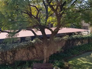1 Bed Flat in Lambton