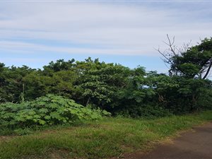 1225 m² Land available in Saiccor