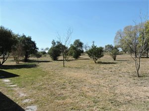 4.8 ha Smallholding in Marikana