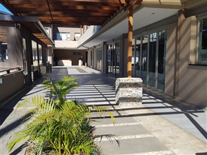 2 Bed Apartment in Willard Beach