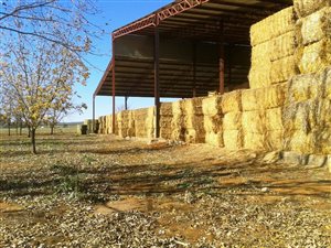 96 ha Farm in Hartswater