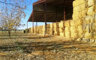 96 ha Farm in Hartswater