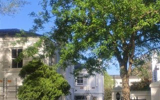 3 Bedroom House in Newlands