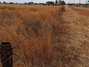 2.2 ha Land available in Nelsonia