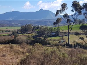 25 ha Farm in Riversdale