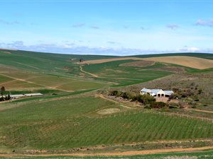 22 ha Farm in Greyton