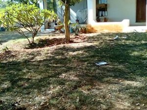 9.3 ha Farm in Palmietfontein