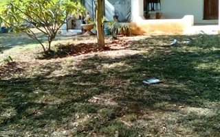 9.3 ha Farm in Palmietfontein