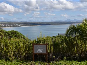 401 m² Land available in Vlees Bay