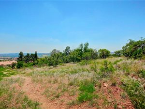 2.5 ha Land available in Amorosa