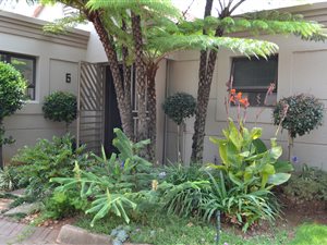 3 Bed Cluster in Bedfordview