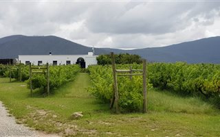 16 ha Farm in Natures Valley