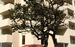3 Bedroom Apartment in Margate