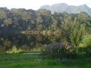 13 ha Farm in George Rural