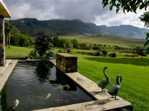 6000 ha Farm in Ladysmith