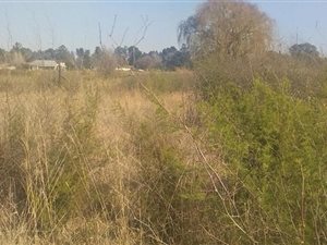 4064 m² Land available in Henley on Klip