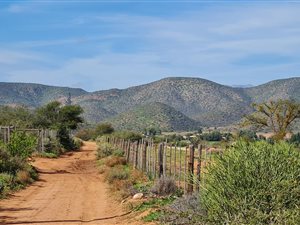 1.2 ha Land available in De Rust