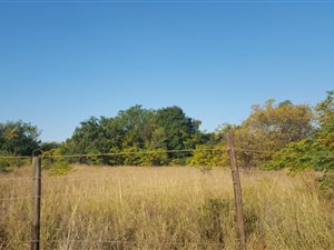 1 ha Land available in Rietfontein