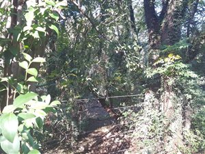 1 ha Land available in Rietfontein