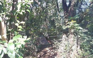1 ha Land available in Rietfontein