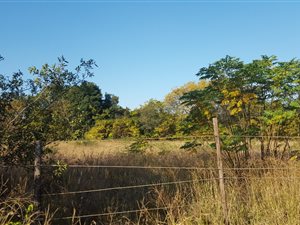 1 ha Land available in Rietfontein