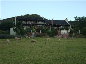 90 ha Farm in Stilbaai