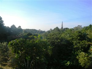 6.4 ha Land available in Ramsgate