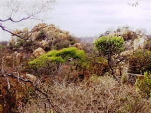 5000 m² Land available in Lissataba