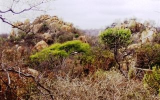 5000 m² Land available in Lissataba