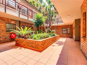 3 Bed Apartment in Nimrod Park