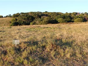 1475 m² Land available in Royalston Coastal Wildlife Estate