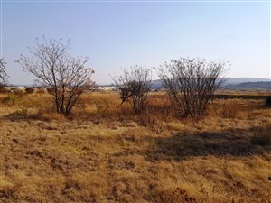 7700 m² Land available in Derdepoort
