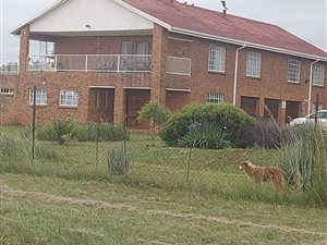 8.5 ha Smallholding in Tweedragt