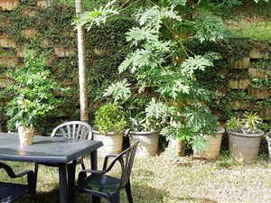 1 Bed Garden Cottage in Glen Anil