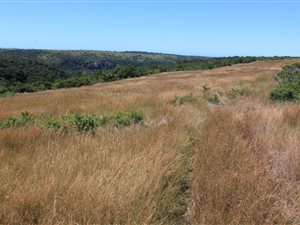 44.8 ha Farm in Kwelera