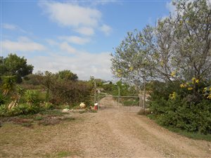 10 ha Farm in Yzerfontein