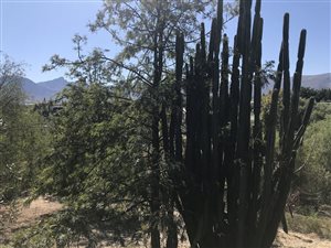 562 m² Land available in Tulbagh